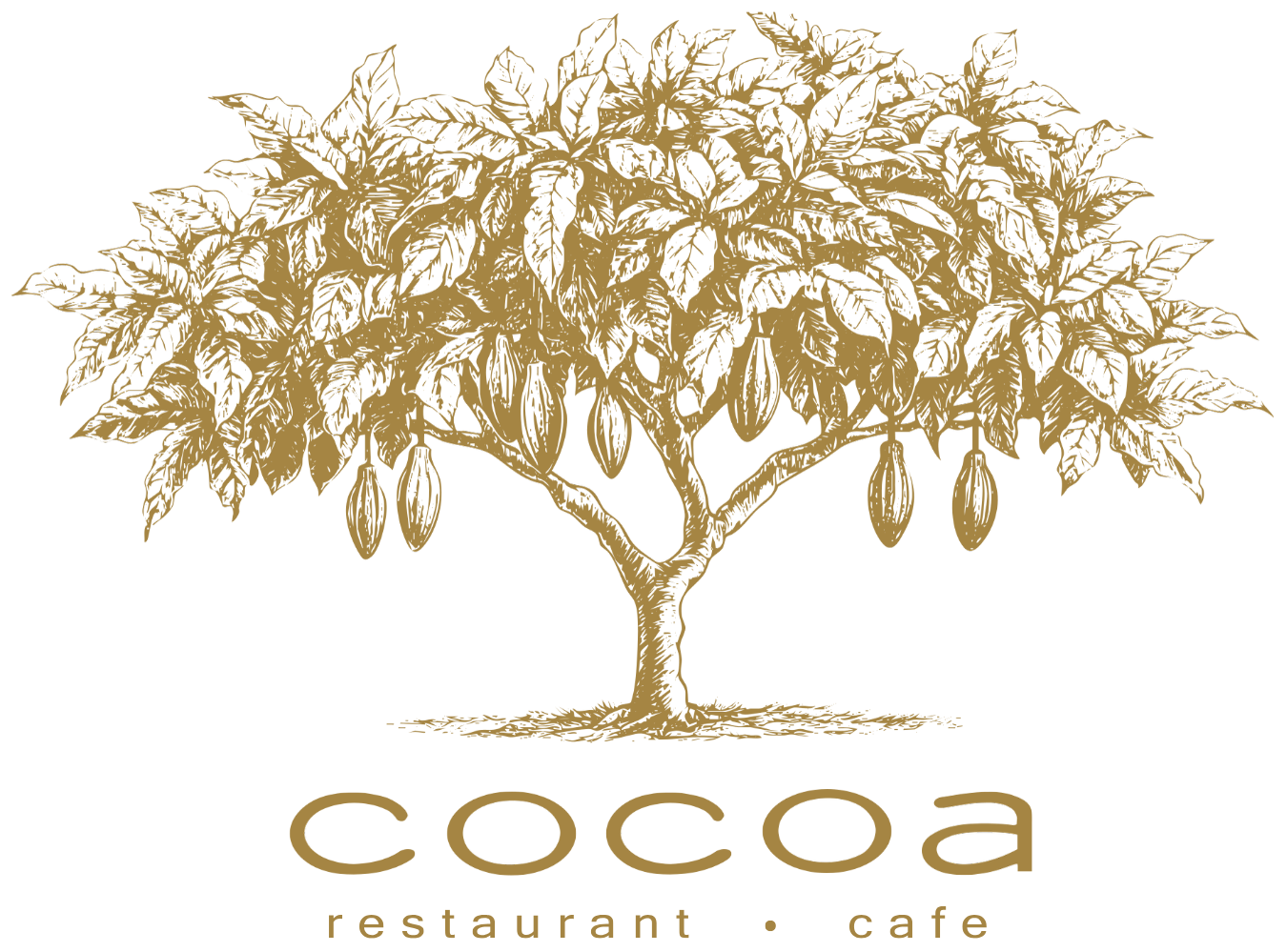 Cocoa tree logo